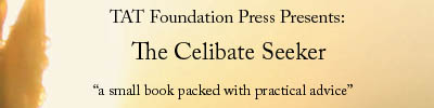 The Celibate Seeker by Shawn Nevins